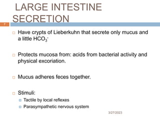 LARGE INTESTINE
SECRETION
3/27/2023
7
 Have crypts of Lieberkuhn that secrete only mucus and
a little HCO3
-
 Protects mucosa from: acids from bacterial activity and
physical excoriation.
 Mucus adheres feces together.
 Stimuli:
 Tactile by local reflexes
 Parasympathetic nervous system
 