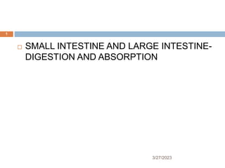 3/27/2023
1
 SMALL INTESTINE AND LARGE INTESTINE-
DIGESTION AND ABSORPTION
 