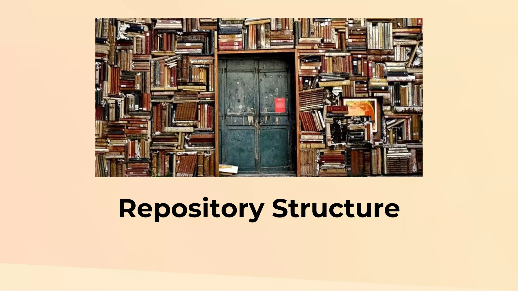 Repository Structure 