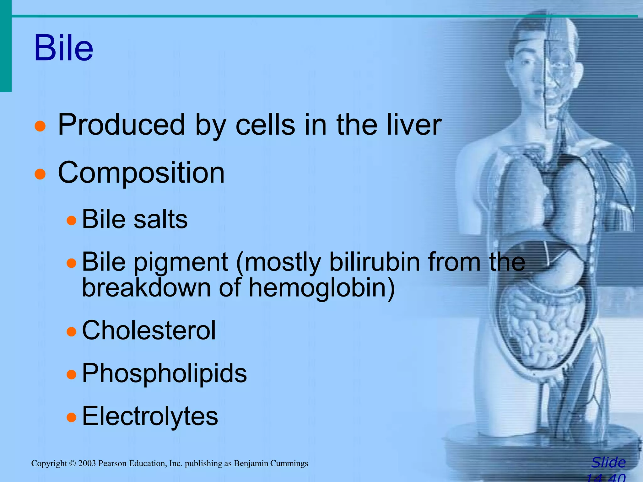 Bile
SlideCopyright © 2003 Pearson Education, Inc. publishing as Benjamin Cummings
 Produced by cells in the liver
 Composition
Bile salts
Bile pigment (mostly bilirubin from the
breakdown of hemoglobin)
Cholesterol
Phospholipids
Electrolytes
 