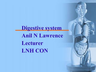 Digestive system
Anil N Lawrence
Lecturer
LNH CON
 
