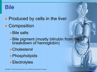Bile
SlideCopyright © 2003 Pearson Education, Inc. publishing as Benjamin Cummings
 Produced by cells in the liver
 Composition
Bile salts
Bile pigment (mostly bilirubin from the
breakdown of hemoglobin)
Cholesterol
Phospholipids
Electrolytes
 