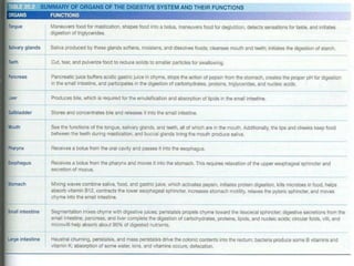 Git system Anatomy & Physiology