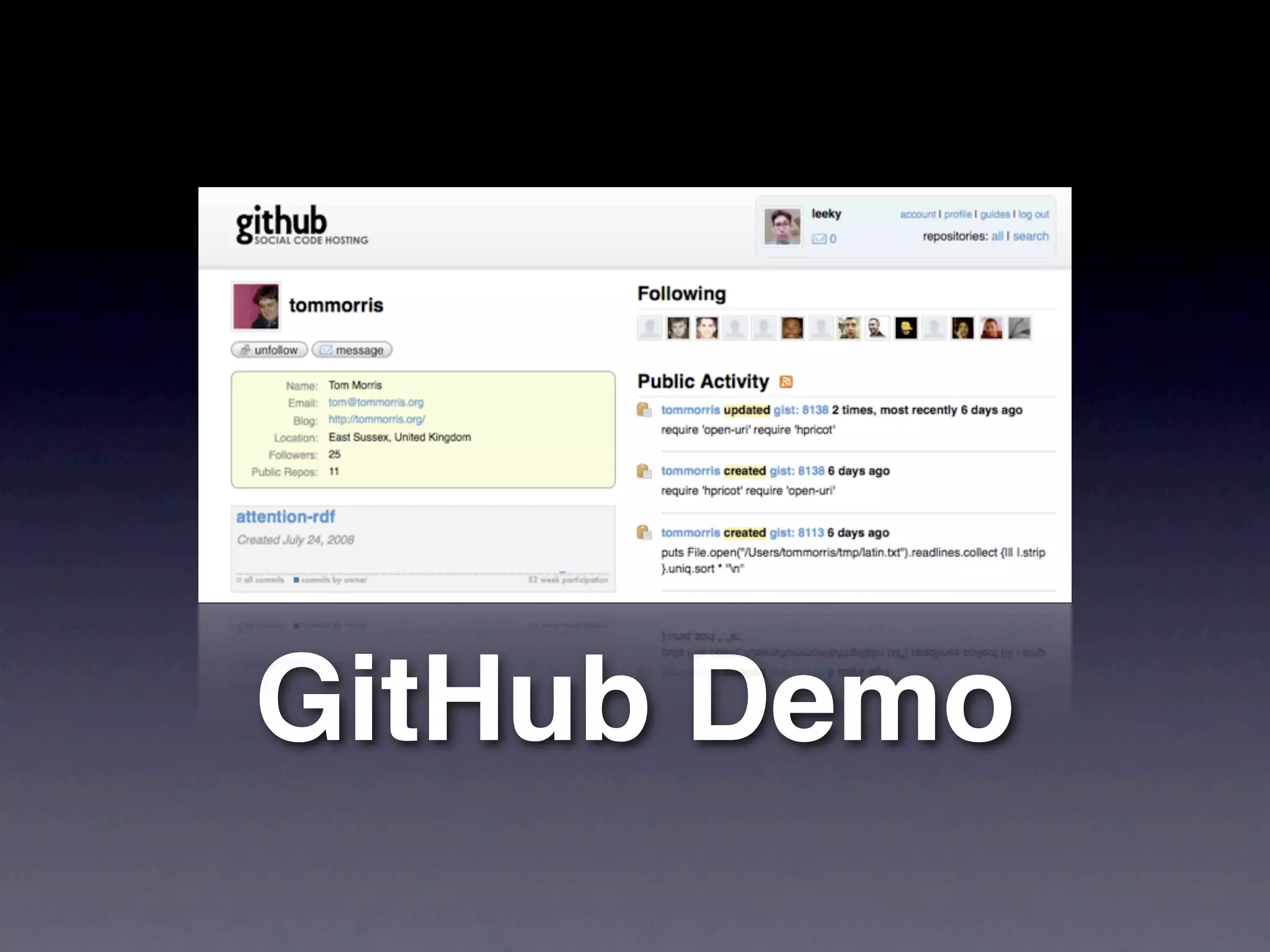 GitHub Demo
 