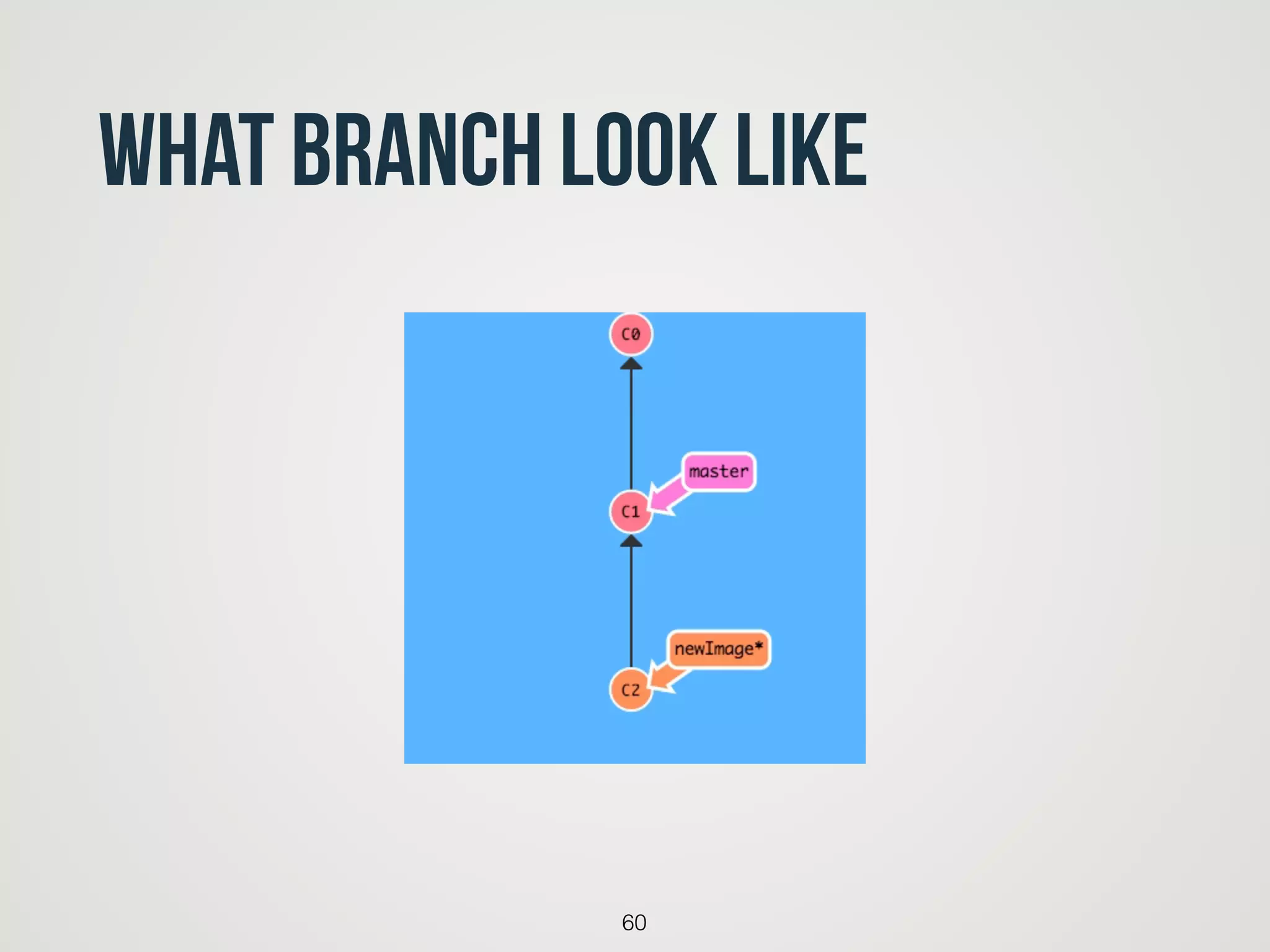 What branch look like
60
 