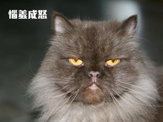 惱羞成怒
 