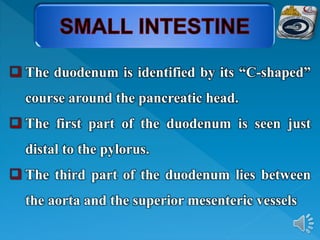  The duodenum is identified by its “C-shaped”
course around the pancreatic head.
 The first part of the duodenum is seen just
distal to the pylorus.
 The third part of the duodenum lies between
the aorta and the superior mesenteric vessels
 