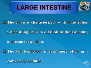  The colon is characterized by its haustration
which using US is best visible at the ascending
and transverse colon.
 The left hemicolon is seen more often in a
contracted condition
 