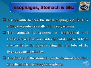  It is possible to scan the distal esophagus & GEJ by
tilting the probe cranially in the epigastrium.
 The stomach is scanned in longitudinal and
transverse sections via a sub xiphoidal approach from
the cardia to the pylorus using the left lobe of the
liver as acoustic window
 The fundus of the stomach can be demonstrated in a
translienal view (through the spleen).
 