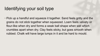 Identifying your soil type
• Pick up a handful and squeeze it together. Sand feels gritty and the
grains do not stick together when squeezed. Loam feels velvety or
flour-like when dry and forms a weak ball shape when wet which
crumbles apart when dry. Clay feels sticky, but goes smooth when
rubbed. Chalk will have large lumps in it and be hard to mould.
 
