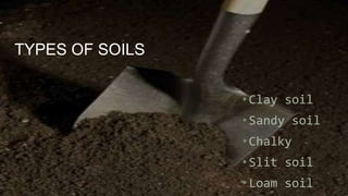 TYPES OF SOILS
•Clay soil
•Sandy soil
•Chalky
•Slit soil
•Loam soil
 