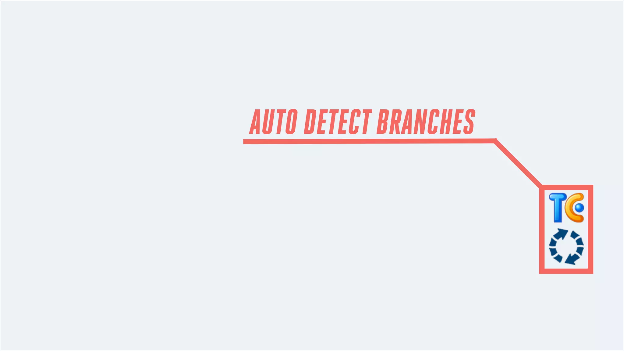AUTO DETECT BRANCHES

 