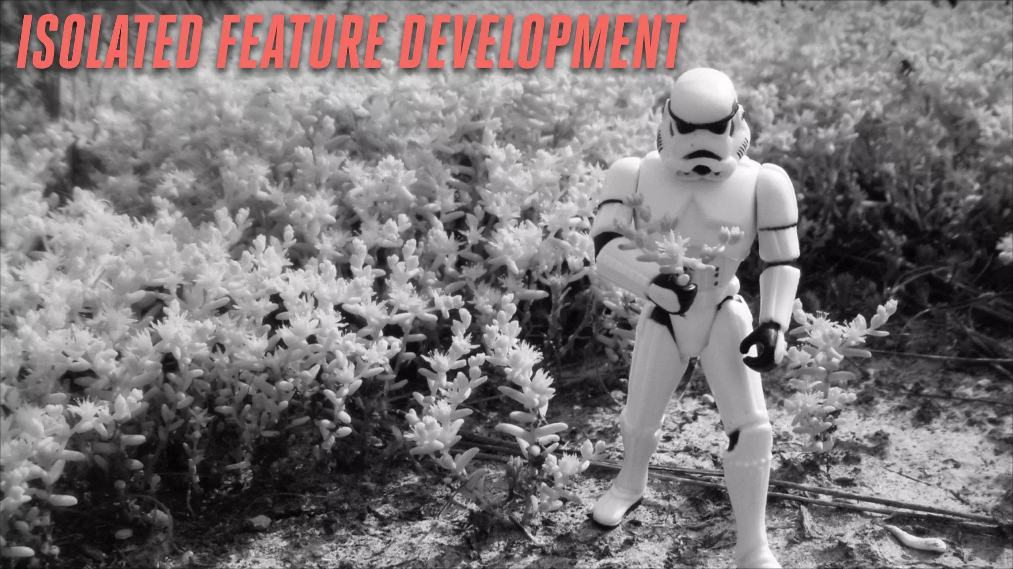 ISOLATED FEATURE DEVELOPMENT

 