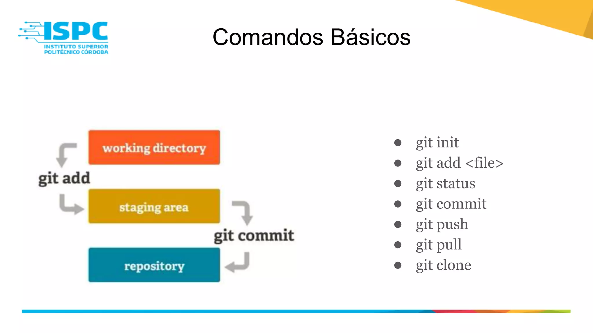 Comandos Básicos
● git init
● git add <file>
● git status
● git commit
● git push
● git pull
● git clone
 