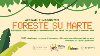 PNRR: Avviso per proposte di intervento di forestazione urbana ed extraurbana
Intervento di: Giulia Cecchinato
 