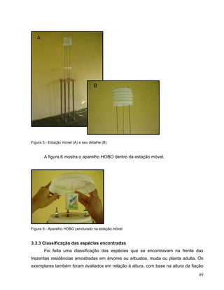 A
B
Figura 5 - Estação móvel (A) e seu detalhe (B)
A figura 6 mostra o aparelho HOBO dentro da estação móvel.
Figura 6 - Aparelho HOBO pendurado na estação móvel
3.3.3 Classificação das espécies encontradas
Foi feita uma classificação das espécies que se encontravam na frente das
trezentas residências amostradas em árvores ou arbustos, muda ou planta adulta. Os
exemplares também foram avaliados em relação à altura, com base na altura da fiação
49
 