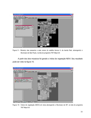 Figura 9 - Mosaico das sessenta e sete cenas do satélite Ikonos II, da banda Red, abrangendo o
Município de São Paulo, na tela do programa TNT Mips 6.8
A partir dos dois mosaicos foi gerado o índice de vegetação NDVI. Seu resultado
pode ser visto na figura 10.
Figura 10 - Índice de vegetação (NDVI) em área abrangendo o Município de SP, na tela do programa
TNT Mips 6.8
55
 