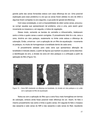 grande parte das cenas fornecidas estava com essa diferença de cor. Uma possível
explicação para esse problema é a de que as cenas foram obtidas no ano de 2002 e
algumas foram corrigidas no ano seguinte, o que pode ter gerado tal diferença.
Com essa constatação, e com a impossibilidade de obter outras cenas, procurou-
se corrigir aquelas que apresentavam tal problema, uma a uma, para assim gerar
novamente os mosaicos e, em seguida, o índice de vegetação.
Desse modo, somando as bandas do vermelho e infravermelho, totalizavam
cento e trinta e quatro cenas a serem corrigidas. O procedimento feito foi o de, cena a
cena, dividi-la em dois pedaços, exatamente no limite onde estava a diferença de
coloração. Então, uniram-se - com a aplicação de um filtro de equalização - novamente
os pedaços, no intuito de homogeneizar a tonalidade dentro de cada cena.
O procedimento adotado para cada cena que apresentava alteração de
tonalidade é indicado abaixo, a partir de figuras que ilustram os passos acima descritos:
a identificação do erro, a divisão da cena em dois pedaços e a unificação a partir da
aplicação do filtro (Figura 12).
Figura 12 – Cena NIR mostrando (a) diferença de tonalidade, (b) divisão em dois pedaços e (c) união
com a aplicação do filtro de equalização
Notou-se com a aplicação do filtro que a cena ficou mais homogênea em termos
de coloração, embora ainda fosse possível notar diferença de cor. Assim, foi feito o
mesmo procedimento nas cento e trinta e quatro cenas. Em seguida foi feito o mosaico
das sessenta e sete cenas do NIR e das sessenta e sete cenas do Red, resultando
57
 