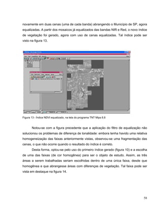 novamente em duas cenas (uma de cada banda) abrangendo o Município de SP, agora
equalizadas. A partir dos mosaicos já equalizados das bandas NIR e Red, o novo índice
de vegetação foi gerado, agora com uso de cenas equalizadas. Tal índice pode ser
visto na figura 13.
Figura 13 - Índice NDVI equalizado, na tela do programa TNT Mips 6.8
Notou-se com a figura precedente que a aplicação do filtro de equalização não
solucionou os problemas de diferença de tonalidade: embora tenha havido uma relativa
homogeneização das faixas anteriormente vistas, observou-se uma fragmentação das
cenas, o que não ocorre quando o resultado do índice é correto.
Desta forma, optou-se pelo uso do primeiro índice gerado (figura 10) e a escolha
de uma das faixas (de cor homogênea) para ser o objeto de estudo. Assim, as três
áreas a serem trabalhadas seriam escolhidas dentro de uma única faixa, desde que
homogênea e que abrangesse áreas com diferenças de vegetação. Tal faixa pode ser
vista em destaque na figura 14.
58
 
