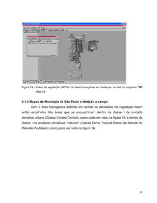 Figura 14 – Índice de vegetação (NDVI) com faixa homogênea em destaque, na tela do programa TNT
Mips 6.8
4.1.2 Mapas do Município de São Paulo e aferição a campo
Com a área homogênea definida em termos de densidade de vegetação foram
então escolhidas três áreas que se enquadravam dentro da classe I de unidade
climática urbana (Classe Urbana Central), como pode ser visto na figura 15; e dentro da
classe I de unidades climáticas “naturais” (Classe Clima Tropical Úmido de Altitude do
Planalto Paulistano) como pode ser visto na figura 16.
59
 
