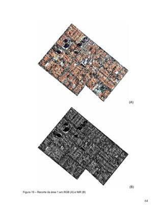 (A)
(B)
Figura 19 – Recorte da área 1 em RGB (A) e NIR (B)
64
 