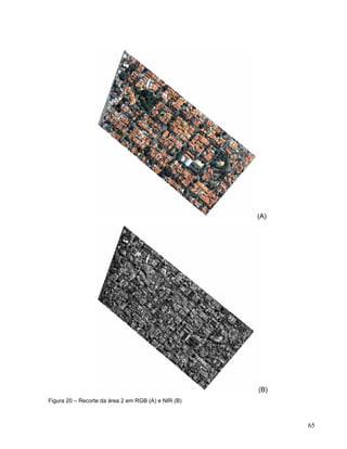 (A)
(B)
Figura 20 – Recorte da área 2 em RGB (A) e NIR (B)
65
 