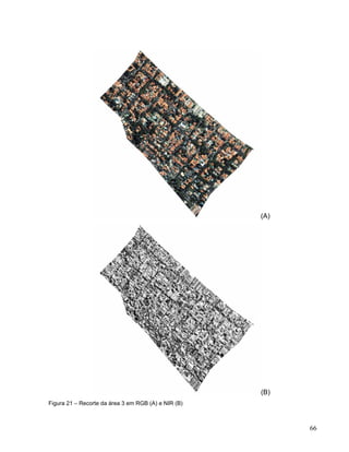 (A)
(B)
Figura 21 – Recorte da área 3 em RGB (A) e NIR (B)
66
 
