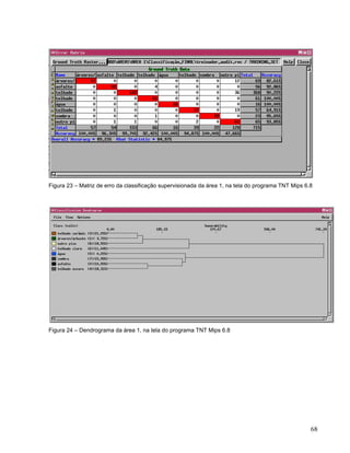 Figura 23 – Matriz de erro da classificação supervisionada da área 1, na tela do programa TNT Mips 6.8
Figura 24 – Dendrograma da área 1, na tela do programa TNT Mips 6.8
68
 