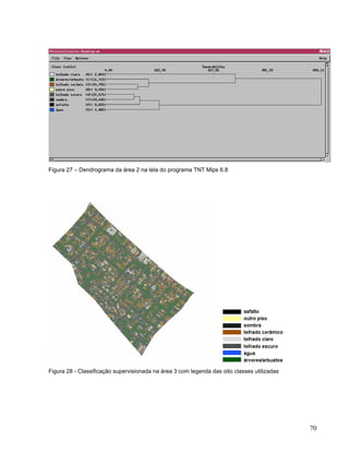 Figura 27 – Dendrograma da área 2 na tela do programa TNT Mips 6.8
Figura 28 - Classificação supervisionada na área 3 com legenda das oito classes utilizadas
70
 