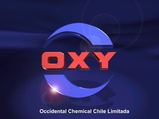 Occidental Chemical Chile Limitada
 