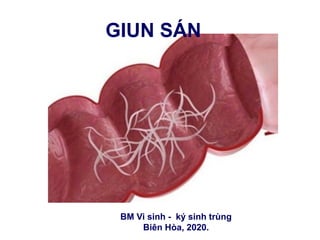 GIUN SÁN
BM Vi sinh - ký sinh trùng
Biên Hòa, 2020.
 