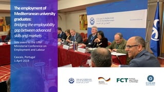 Giuseppe Provenzano, Expert of Higher Education and Research Division of the Union for the Mediterranean (UfM) Slide 2