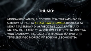 THUMO:
MONGWADI O ATLEGILE GO TŠWELETSA TSHEKATSHEKO YA
SERERWA SA PADI YA A TLA A HWA LETSWALO. DIKAROLO KA
MOKA TŠA SERERWA DI AKAREDITŠWE GO YA KA TSELA YA
MALEBA. KAHLAAHLO YE YA SERERWA E LAEDITŠE KA MOKGWA
WOO BAANEGWA, TIKOLOGO LE DITIRAGALO TŠA PADI DI RE
TŠWELELETŠAGO MORERO WA BOSENYI LE BOMENETŠA.
 