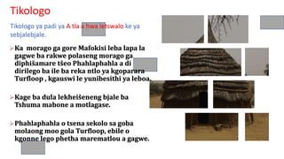 Tikologo
Tikologo ya padi ya A tla a hwa letswalo ke ya
sebjalebjale.
Ka morago ga gore Mafokisi leba lapa la
gagwe ba rakwe polaseng morago ga
diphišamare tšeo Phahlaphahla a di
dirilego ba ile ba reka ntlo ya kgoparara
Turfloop , kgauswi le yunibesithi ya leboa.
Kage ba dula lekheišeneng bjale ba
Tshuma mabone a motlagase.
Phahlaphahla o tsena sekolo sa goba
molaong moo gola Turfloop, ebile o
kgonne lego phetha marematlou a gagwe.
 