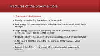 Fractures of the proximal tibia.
1. Fractures of tibial plateau
▪ Usually caused by forcible Valgus or Varus strain.
▪ Low energy fractures common in older females due to osteoporotic bone
changes.
▪ High energy fractures are commonly the result of motor vehicle
accidents, falls or sports related injuries
▪ Strong bending forces combined with an axial load e.g. bumper fractures
▪ A fall from a height in which the knee is forced into valgus or varus
position
▪ Lateral tibial plateu is commonly affected but medial may also be
affected
 