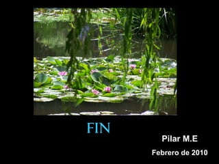fin
        Pilar M.E
      Febrero de 2010
 
