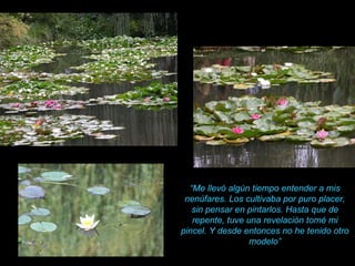 “ Me llevó algún tiempo entender a mis nenúfares. Los cultivaba por puro placer, sin pensar en pintarlos. Hasta que de repente, tuve una revelación tomé mi pincel. Y desde entonces no he tenido otro modelo” 
