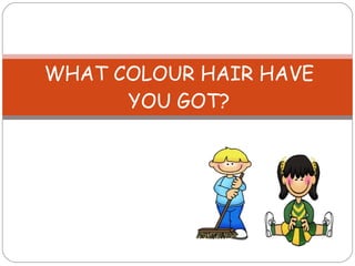WHAT COLOUR HAIR HAVE YOU GOT? 