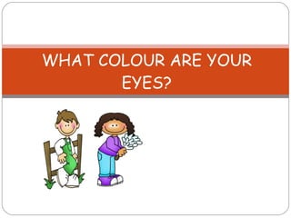 WHAT COLOUR ARE YOUR EYES? 
