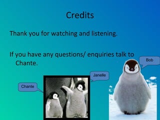 Credits Thank you for watching and listening. If you have any questions/ enquiries talk to Chante. Janelle Chante Bob 