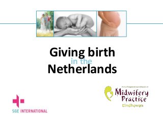 Netherlands
Giving birth
in the
 