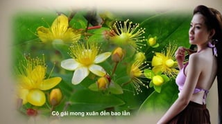 Cô gái mong xuân đến bao lần
 