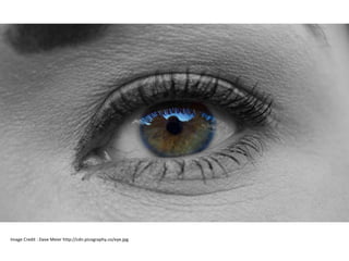 Eye 
Image Credit : Dave Meier http://cdn.picography.co/eye.jpg  