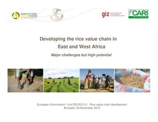 Page 1
Developing the rice value chain in
East and West Africa
Major challenges but high potential
European Commission / Unit DEVCO.C1: Rice value chain development
Brussels, 30 November 2018
 