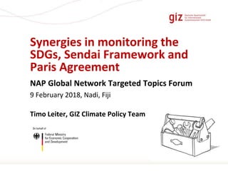 Page 1
Synergies in monitoring the
SDGs, Sendai Framework and
Paris Agreement
NAP Global Network Targeted Topics Forum
9 February 2018, Nadi, Fiji
Timo Leiter, GIZ Climate Policy Team
 