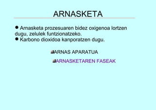 ARNASKETA
Arnasketa prozesuaren bidez oxigenoa lortzen
dugu, zelulek funtzionatzeko.
Karbono dioxidoa kanporatzen dugu.
ARNAS APARATUA
ARNASKETAREN FASEAK
 