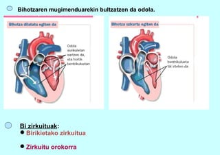 Bihotzaren mugimenduarekin bultzatzen da odola.
Bi zirkuituak:
Birikietako zirkuitua
Zirkuitu orokorra
 