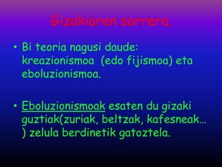 Gizakiaren sorrera.
• Bi teoria nagusi daude:
  kreazionismoa (edo fijismoa) eta
  eboluzionismoa.

• Eboluzionismoak esaten du gizaki
  guztiak(zuriak, beltzak, kafesneak…
  ) zelula berdinetik gatoztela.
 