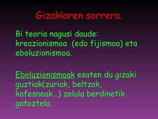 Gizakiaren sorrera. Bi teoria nagusi daude: kreazionismoa  (edo fijismoa) eta eboluzionismoa.  Eboluzionismoak  esaten du gizaki guztiak(zuriak, beltzak, kafesneak…) zelula berdinetik gatoztela.  