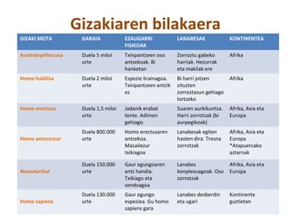Gizakiaren bilakaera 
GIZAKI MOTA GARAIA EZAUGARRI 
FISIKOAK 
LANABESAK KONTINENTEA 
Australopithecusa Duela 5 miloi 
urte 
Txinpantzeen oso 
antzekoak. Bi 
hanketan 
Zorroztu gabeko 
harriak. Hezurrak 
eta makilak ere 
Afrika 
Homo habilisa Duela 2 miloi 
urte 
Espezie lirainagoa. 
Txinpantzeen antzik 
ez 
Bi harri jotzen 
zituzten 
zorroztasun gehiago 
lortzeko 
Afrika 
Homo erectusa Duela 1,5 miloi 
urte 
Jadanik erabat 
tente. Adimen 
gehiago. 
Suaren aurkikuntza. 
Harri zorrotzak (bi 
aurpegikoak) 
Afrika, Asia eta 
Europa 
Homo antecessor 
Duela 800.000 
urte 
Homo erectusaren 
antzekoa. 
Masailezur 
txikiagoa 
Lanabesak egiten 
hasten dira. Tresna 
zorrotzak 
Afrika, Asia eta 
Europa 
*Atapuercako 
aztarnak 
Neanderthal 
Duela 150.000 
urte 
Gaur egungoaren 
antz handia. 
Txikiago eta 
sendoagoa 
Lanabes 
konplexuagoak. Oso 
zorrotzak 
Afrika, Asia eta 
Europa 
Homo sapiens 
Duela 130.000 
urte 
Gaur egungo 
espeziea. Gu homo 
sapiens gara 
Lanabes desberdin 
eta ugari 
Kontinente 
guztietan 
